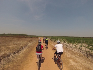 Cycling through Vietnam